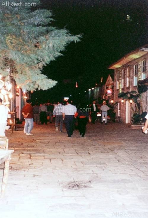 Orkide Hotel 17